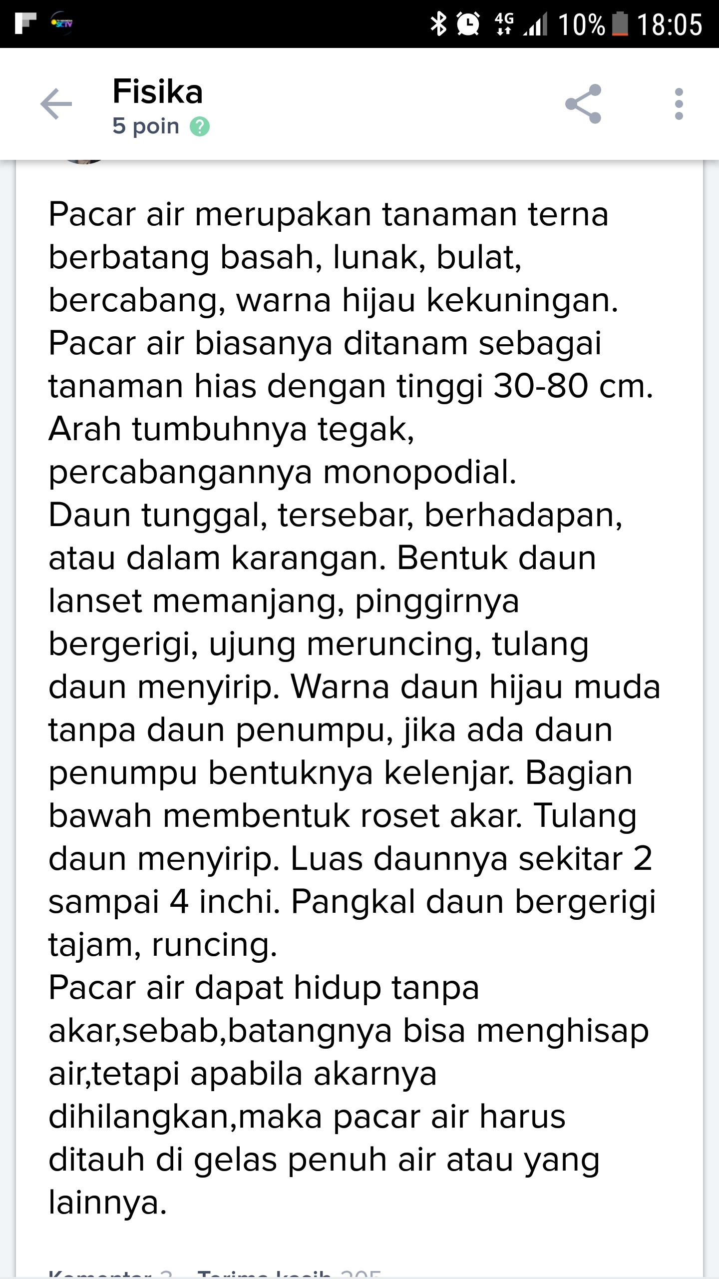 Detail Gambar Tumbuhan Pacar Air Utuh Beserta Keterangannya Nomer 6