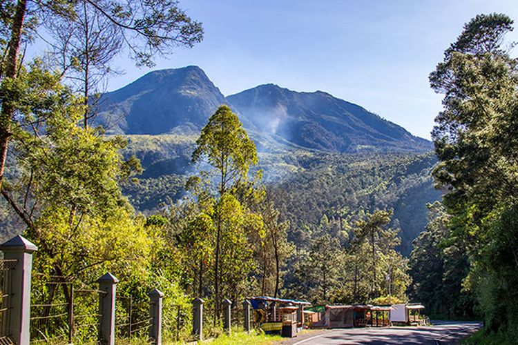 Detail Gambar Turis Asing Di Cemoro Sewu Sine Tulungagung Nomer 17