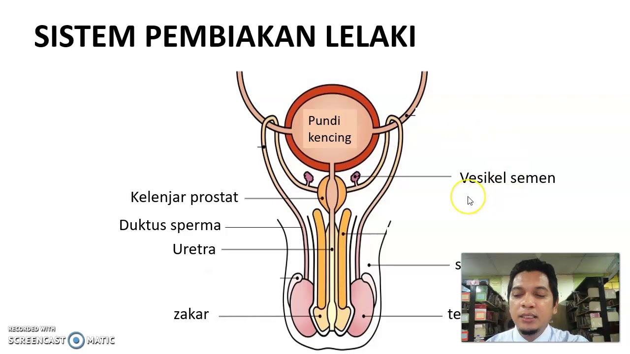 Detail Gambar Untuk Lelaki Nomer 26