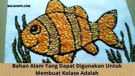 Gambar Untuk Membuat Kolase - KibrisPDR