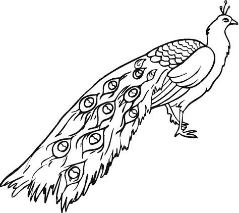 Detail Gambar Untuk Mozaik Burung Merak Nomer 33