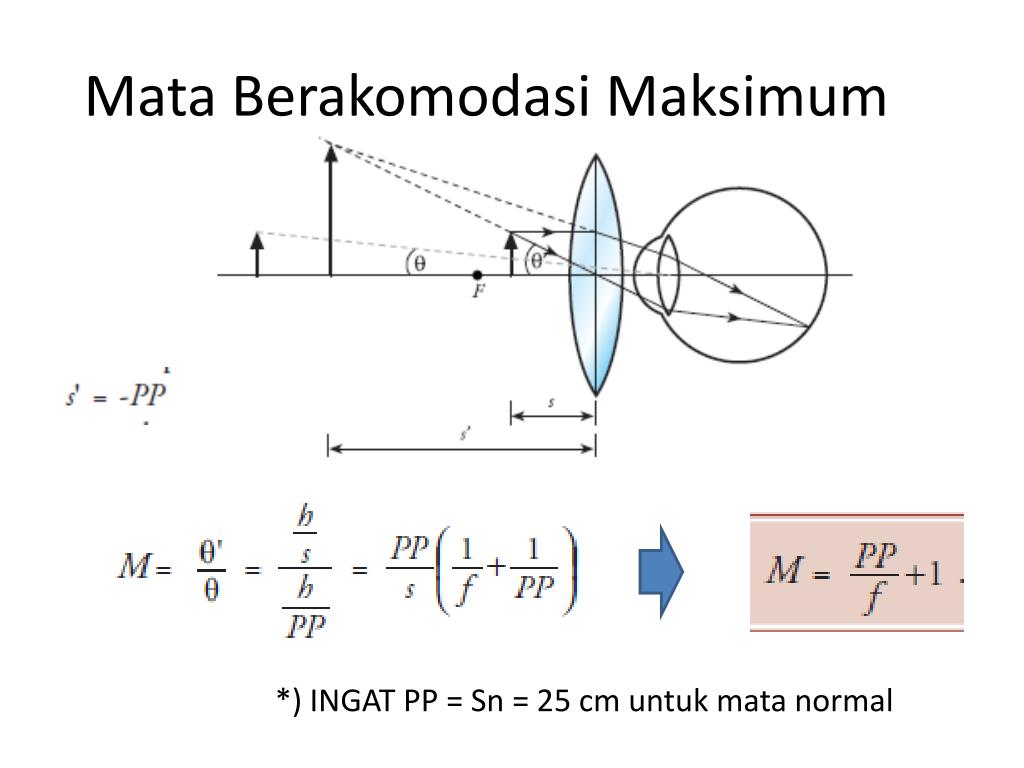 Detail Gambar Untuk Power Point Mata Berakomodasi Nomer 21