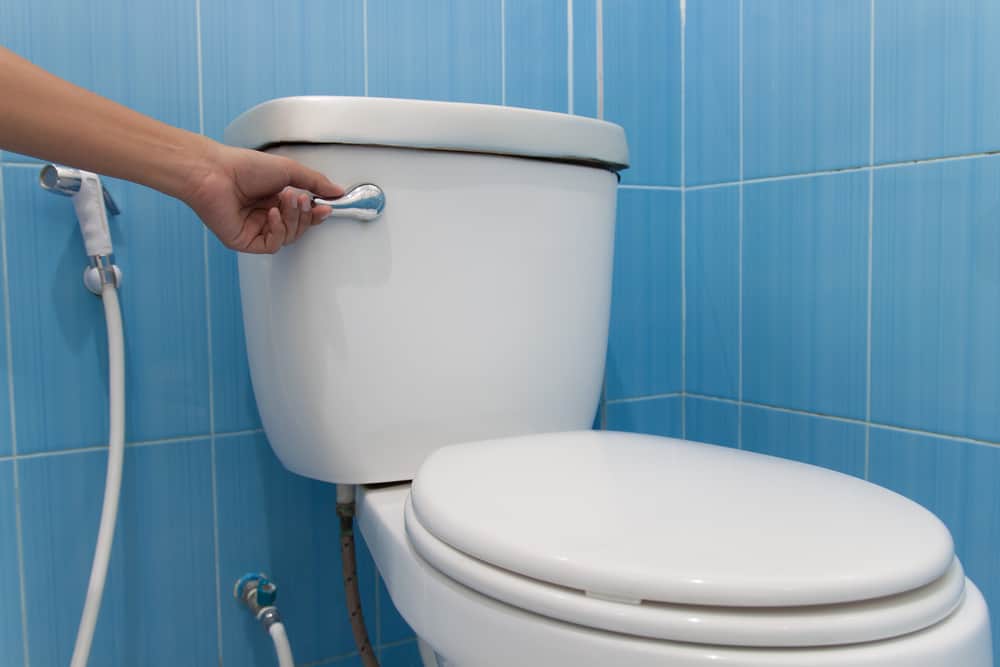 Detail Gambar Untuk Toilet Nomer 14