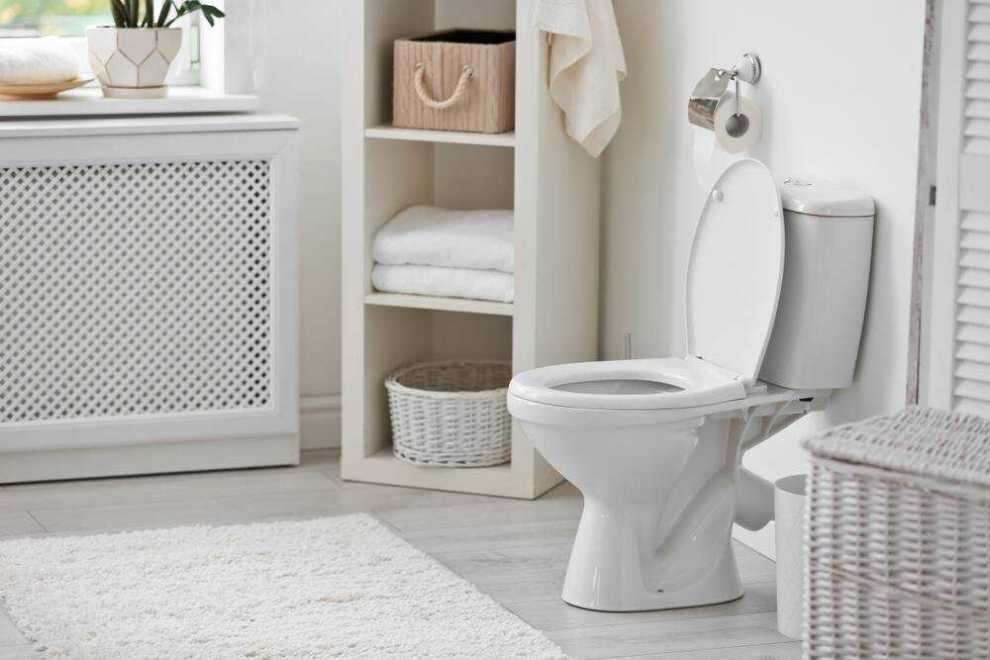 Detail Gambar Untuk Toilet Nomer 15