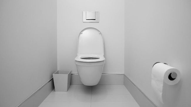 Detail Gambar Untuk Toilet Nomer 8