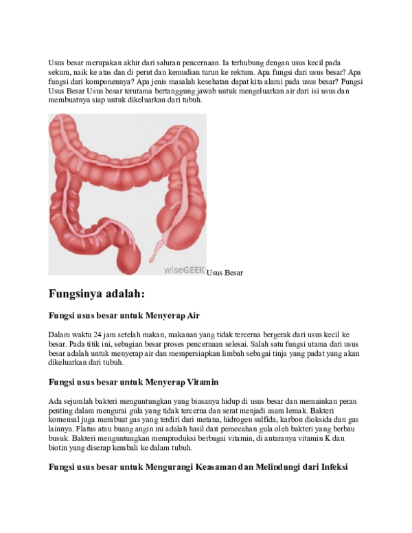 Detail Gambar Usus Dan Fungsin Nomer 41