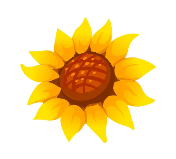 Detail Gambar Vektor Bunga Matahari Nomer 9