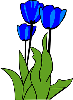 Detail Gambar Vektor Bunga Tulip Nomer 21