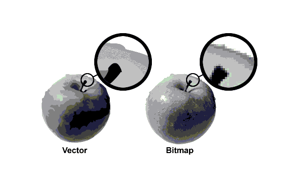 Detail Gambar Vektor Dan Bitmap Nomer 11