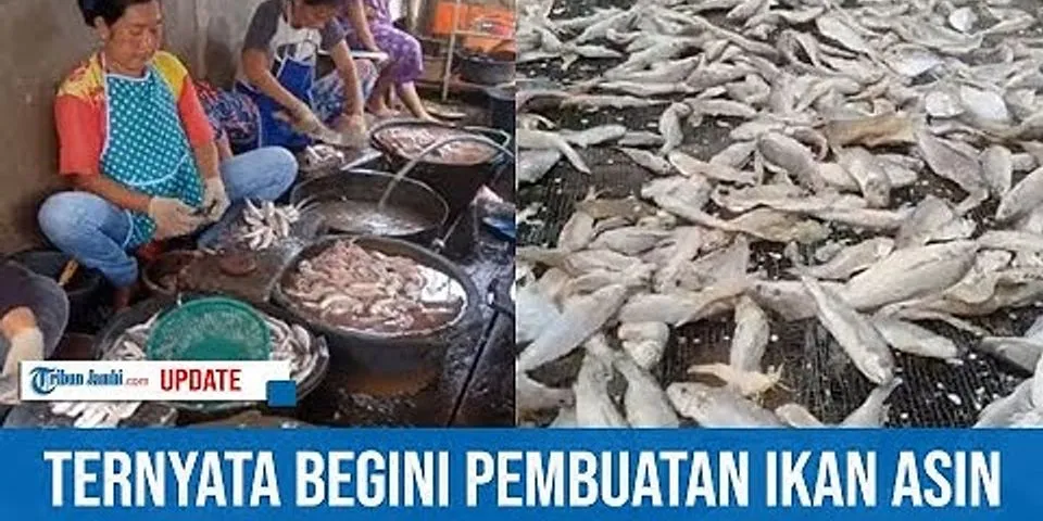 Detail Gambar Vektor Ikan Kering Nomer 32