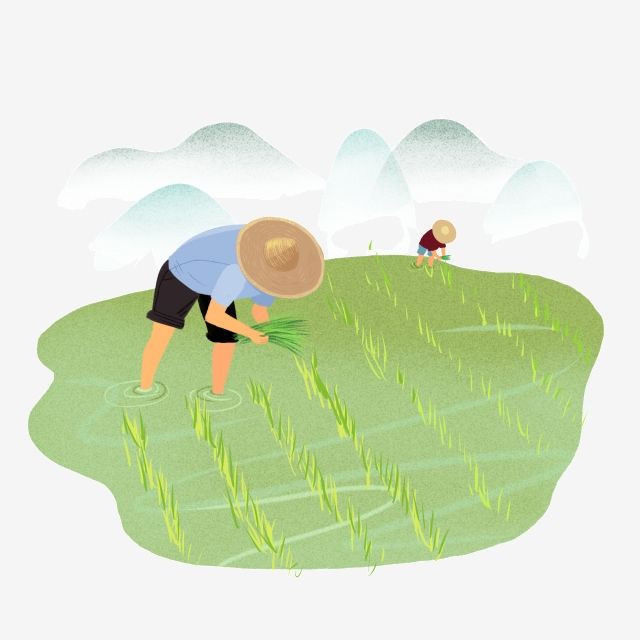 Gambar Vektor Sawah Kartun - KibrisPDR