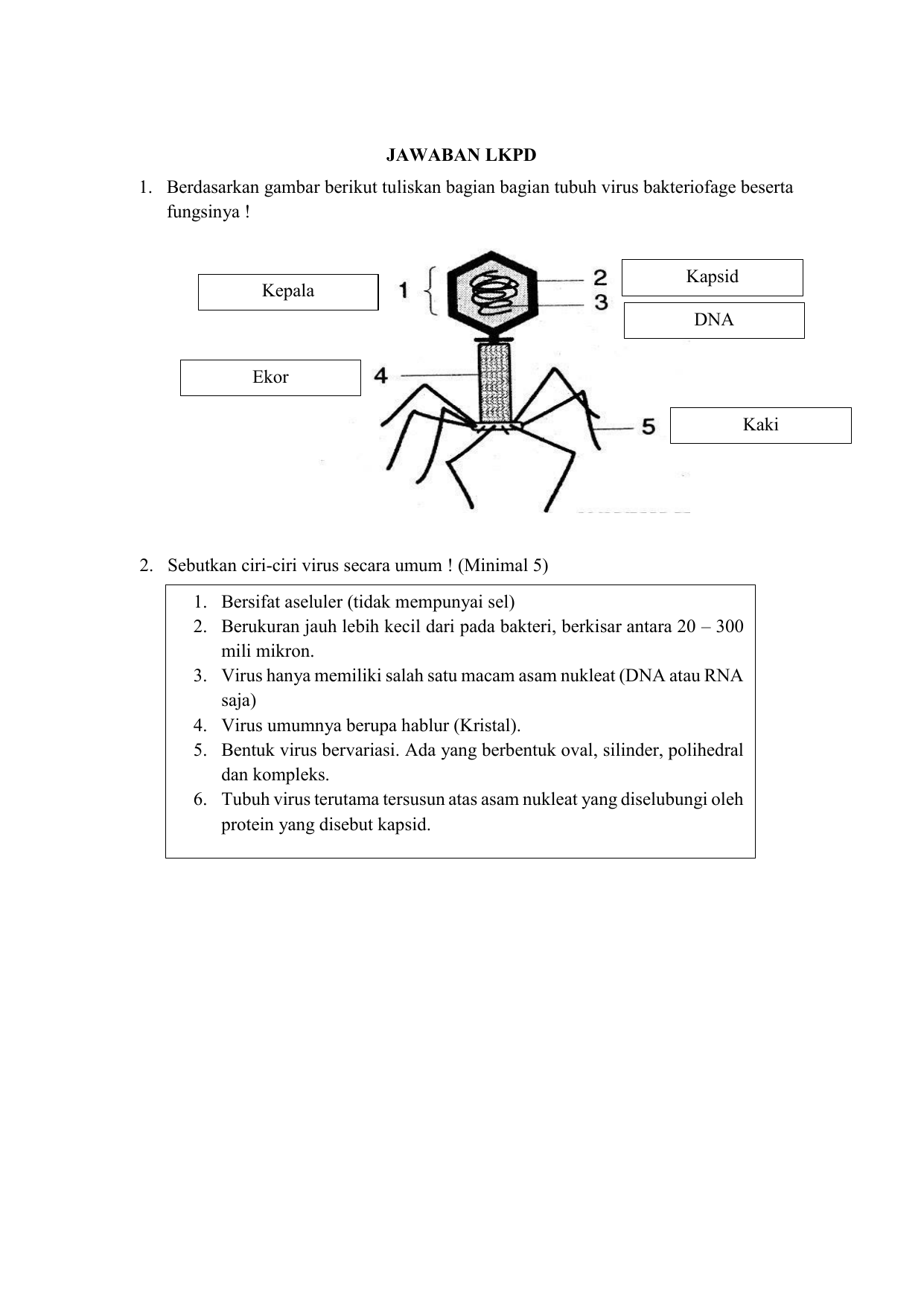 Detail Gambar Virus Bakteriofage Nomer 45