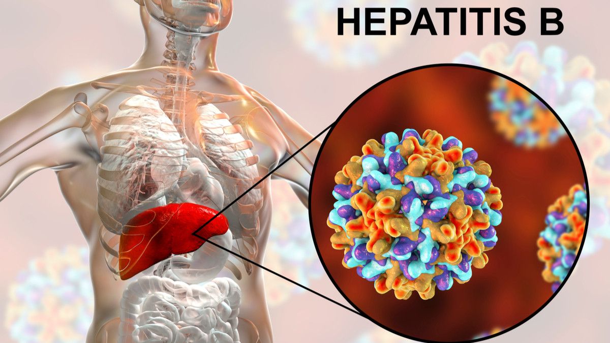 Detail Gambar Virus Hepatitis B Nomer 22