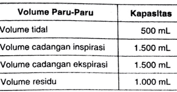 Detail Gambar Volume Udara Pernapasan Nomer 14