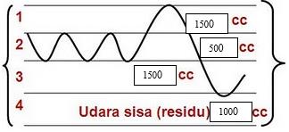 Detail Gambar Volume Udara Pernapasan Nomer 21