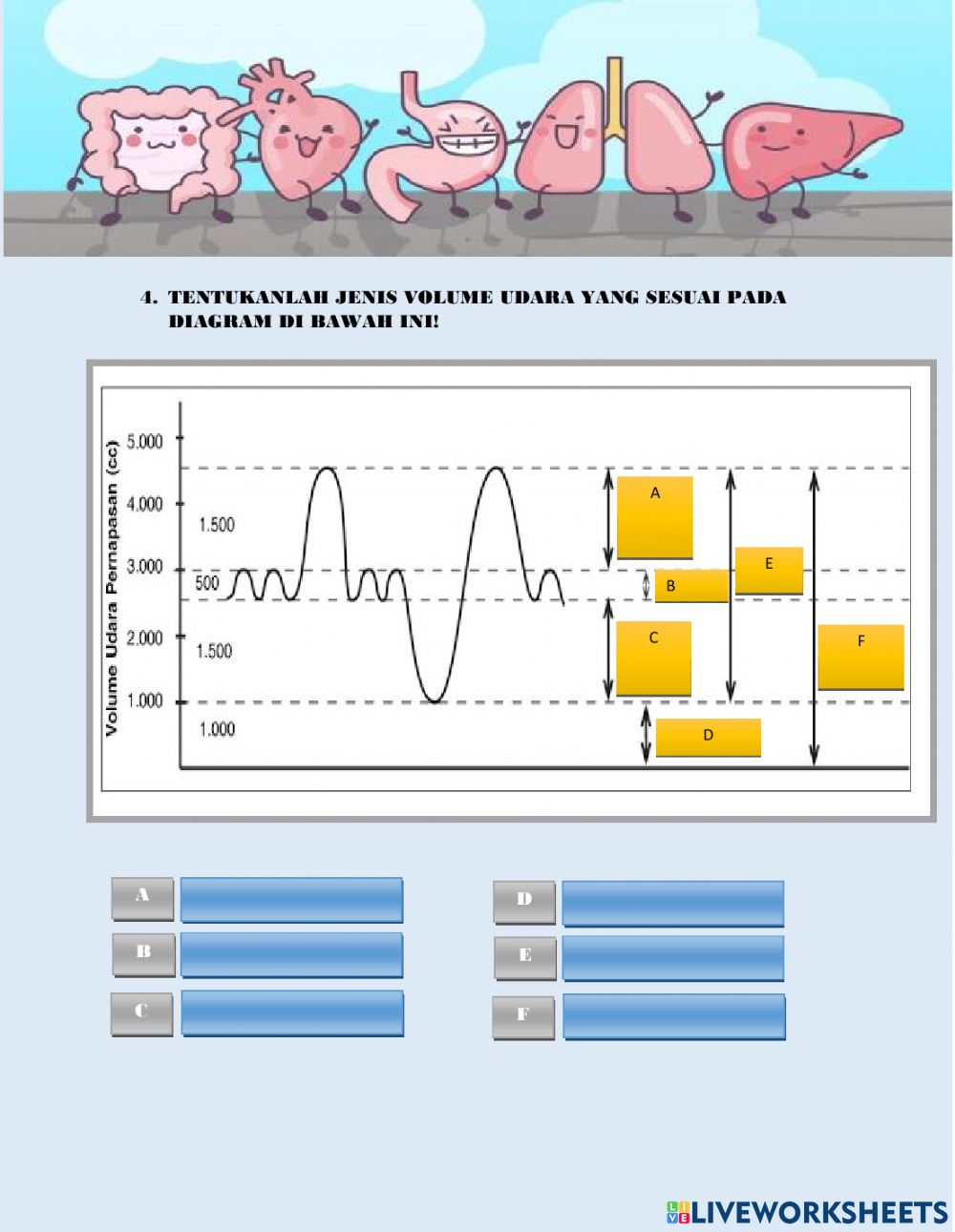 Detail Gambar Volume Udara Pernapasan Nomer 33