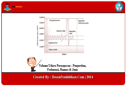 Detail Gambar Volume Udara Pernapasan Nomer 35