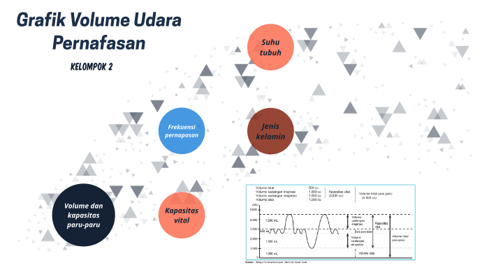 Detail Gambar Volume Udara Pernapasan Nomer 43