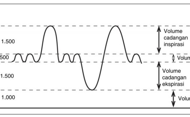 Detail Gambar Volume Udara Pernapasan Nomer 50