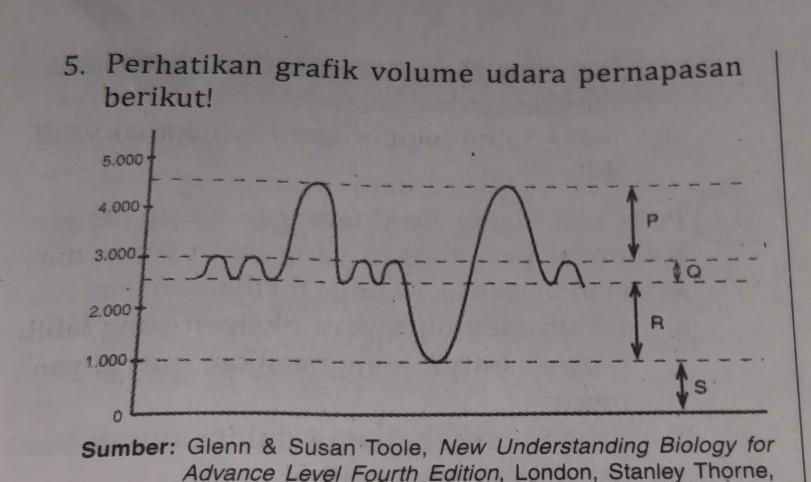 Detail Gambar Volume Udara Pernapasan Nomer 9