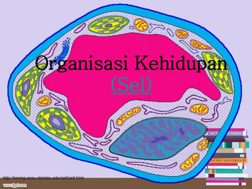 Detail Gambar Wallpaper Untuk Ppt Organisasi Nomer 12