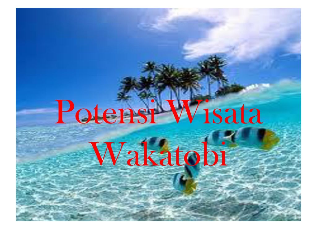 Detail Gambar Wisata Pulau Wakatobi Nomer 39