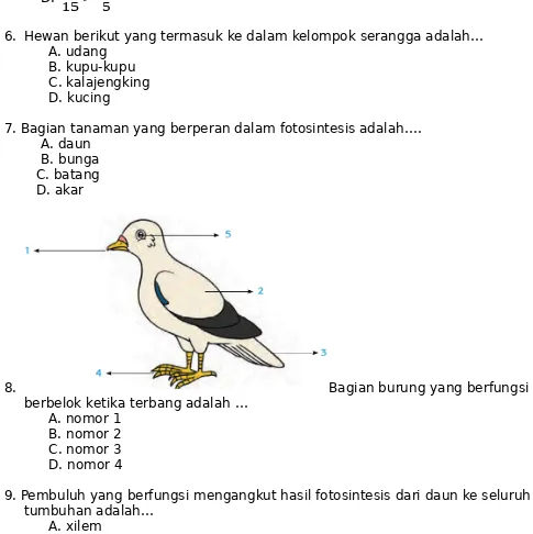 Gambar Yang Menjelaskan Suatu Teks Bacaan Cerita Atau Keadaan Disebut - KibrisPDR