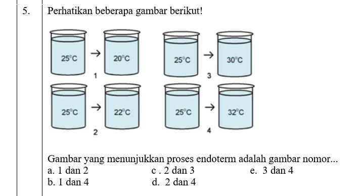 Gambar Yang Menunjukkan Proses Endoterm Adalah - KibrisPDR