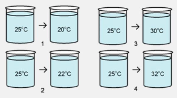 Detail Gambar Yang Menunjukkan Proses Endoterm Adalah Nomer 3