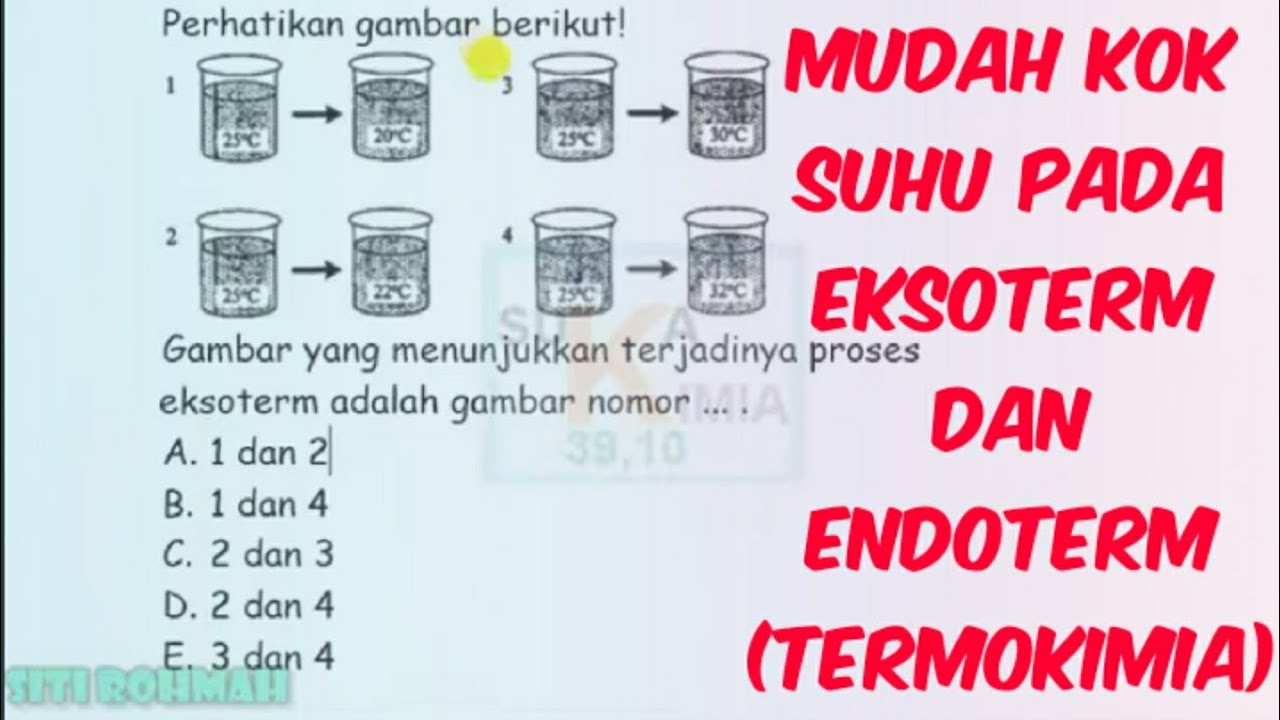 Detail Gambar Yang Menunjukkan Proses Endoterm Adalah Nomer 5