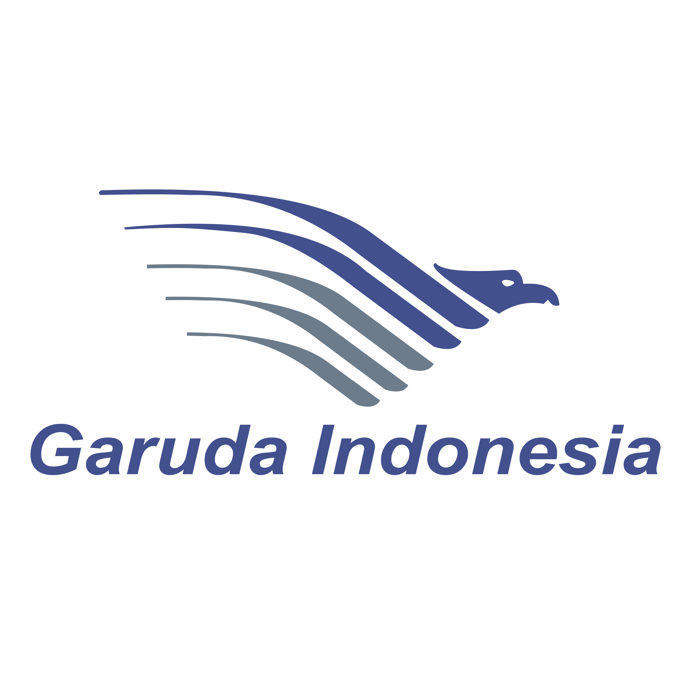 Detail Garuda Vektor Png Nomer 19