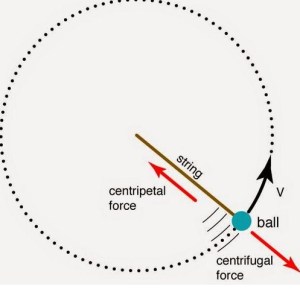 Detail Gaya Sentrifugal Dan Sentripetal Nomer 7