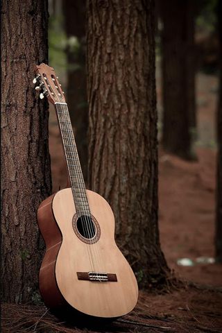 Detail Gitar Keren Blogspot Nomer 45