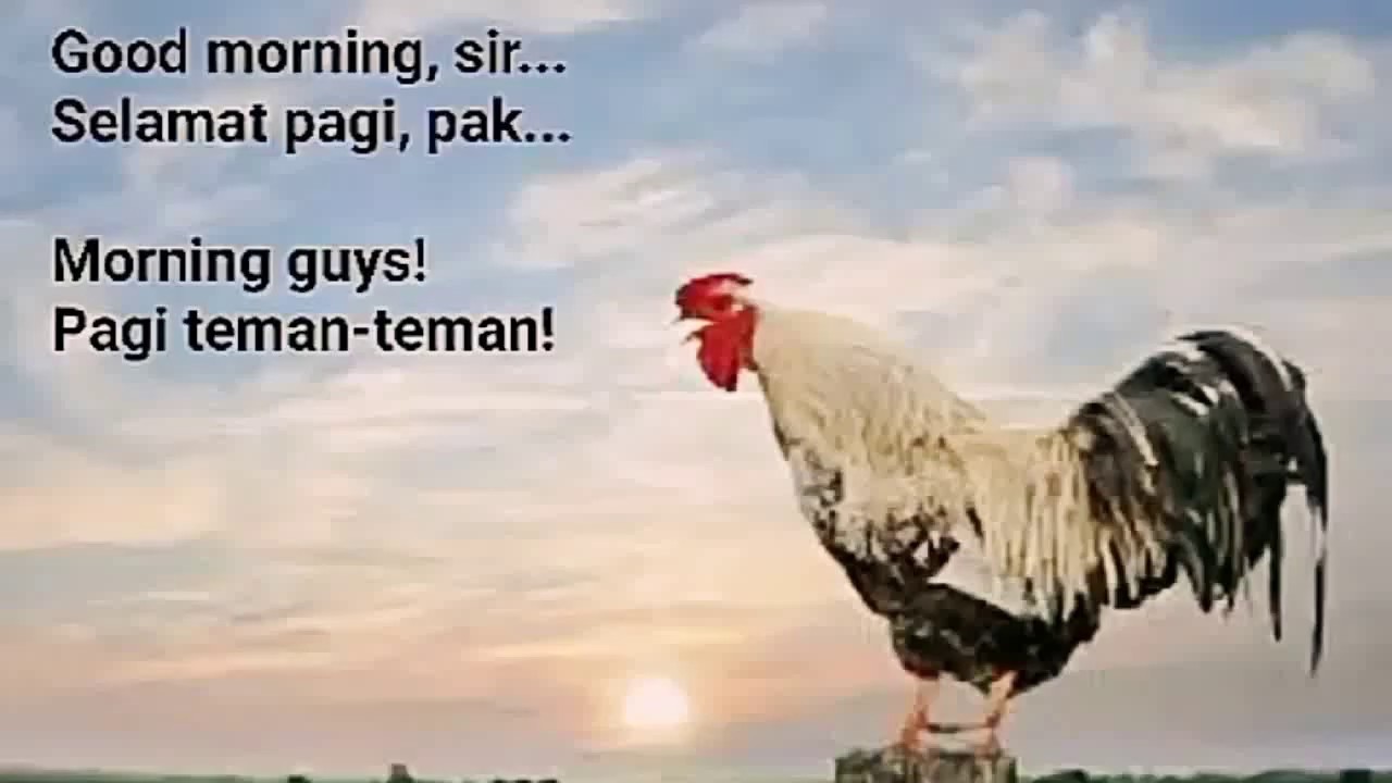 Good Morning Bahasa Indonesia - KibrisPDR