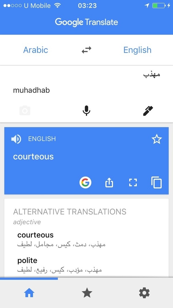 Detail Google Translate Bahasa Arab Foto Nomer 3