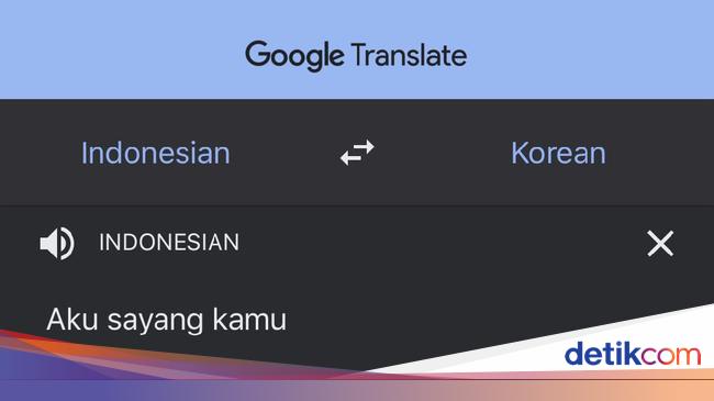 Detail Google Translate Bahasa Arab Foto Nomer 22