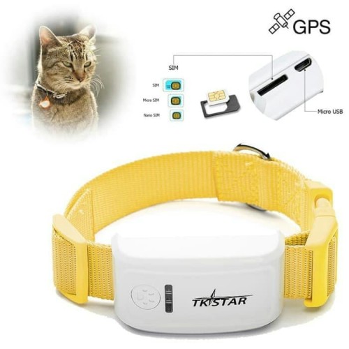 Detail Gps Untuk Kucing Nomer 38