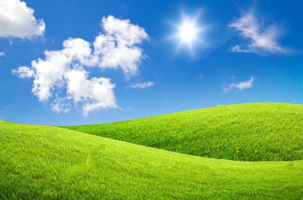 Detail Grass And Sky Background Nomer 16