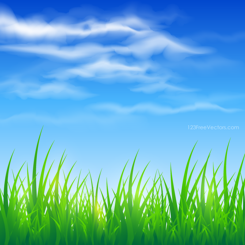 Detail Grass Background Hd Nomer 12