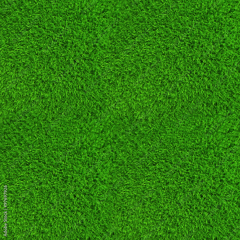 Detail Grass Background Hd Nomer 18