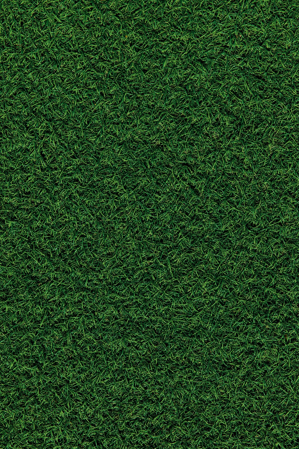 Detail Grass Background Hd Nomer 39