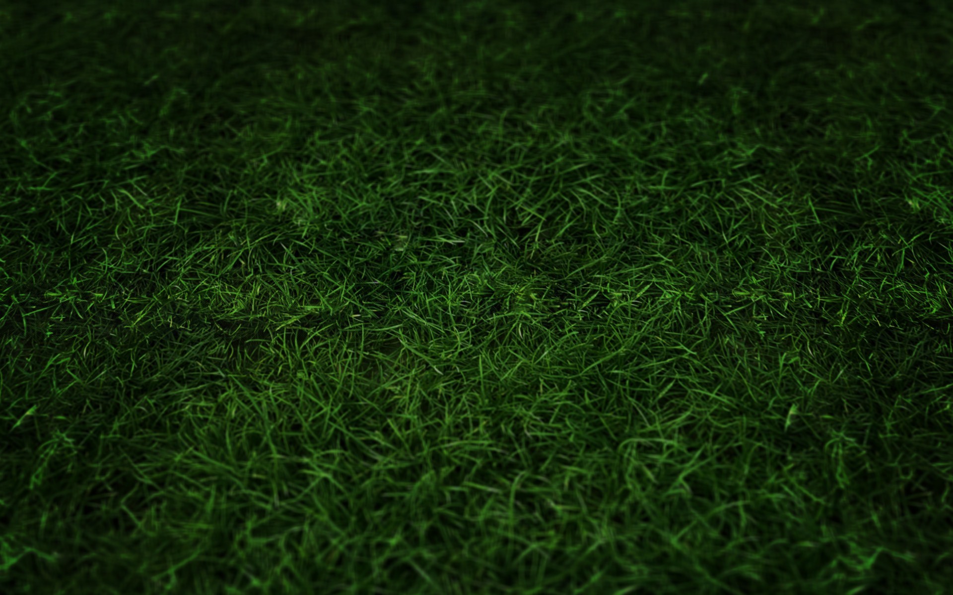 Detail Grass Background Hd Nomer 40