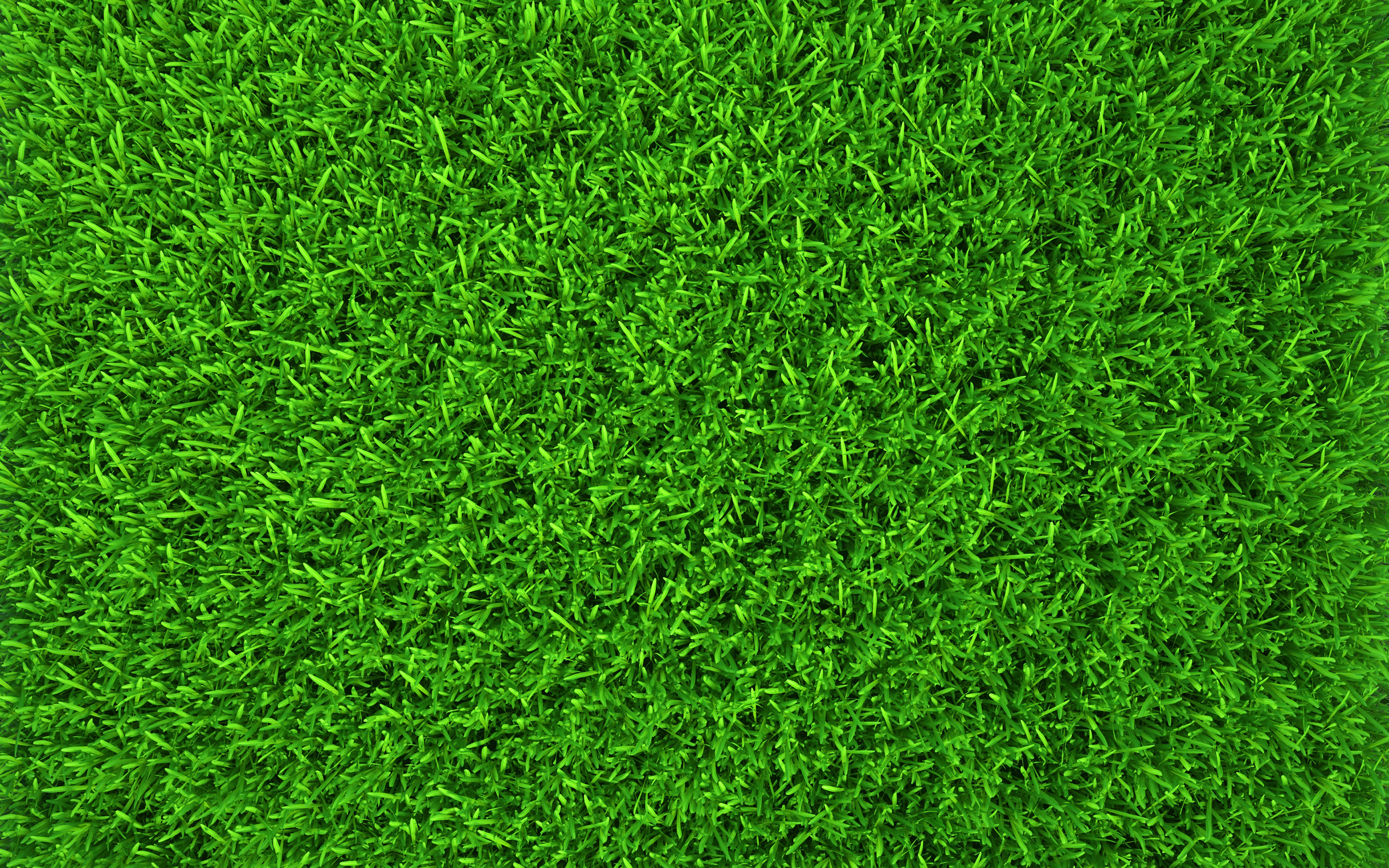 Detail Grass Background Hd Nomer 9