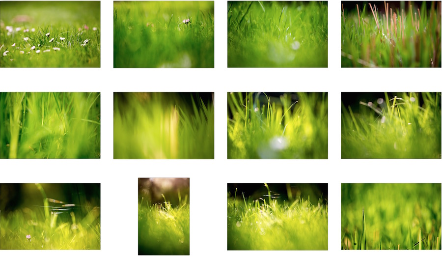 Detail Grass Hd Wallpaper Nomer 29