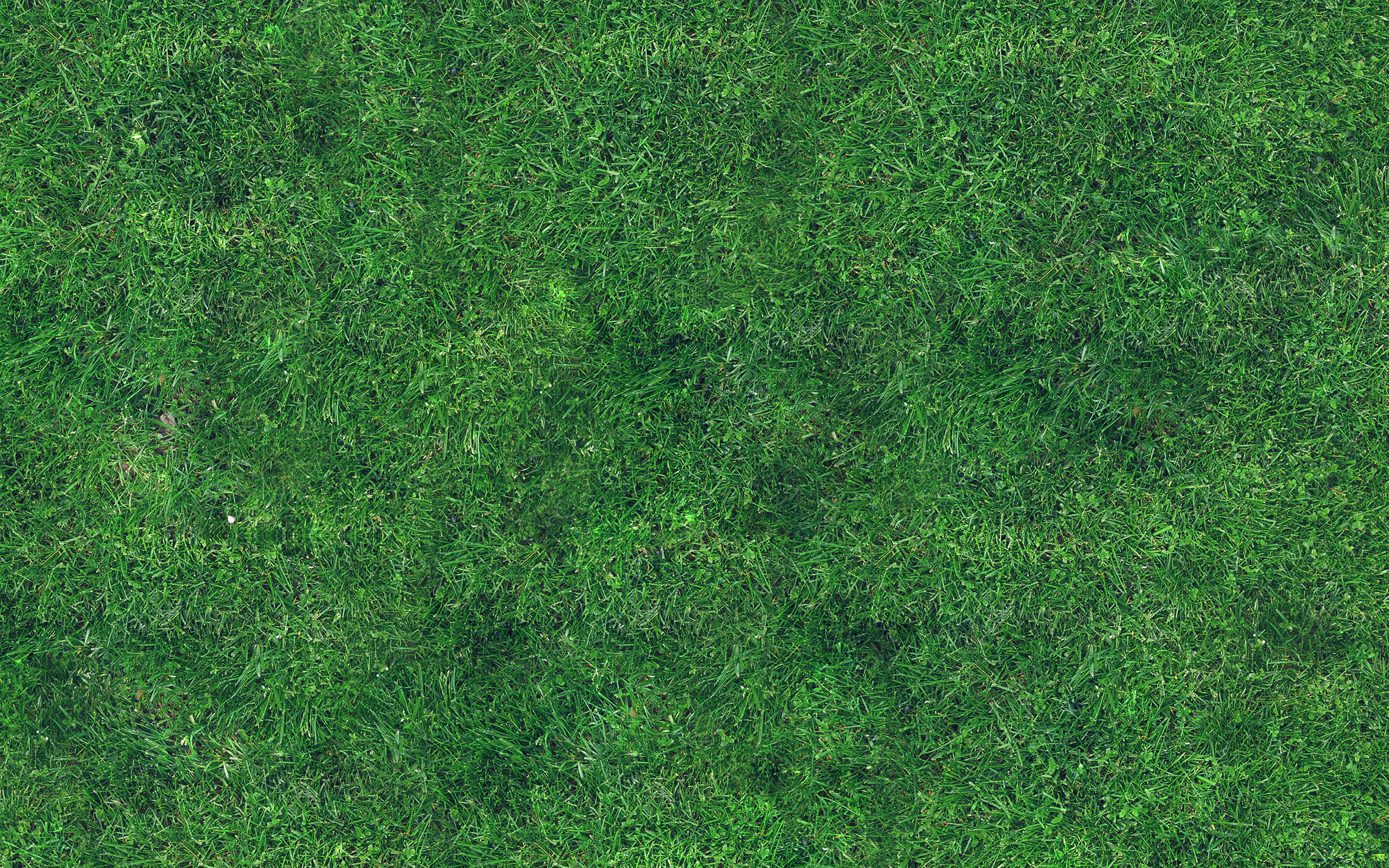 Detail Grass Texture Hd Nomer 16