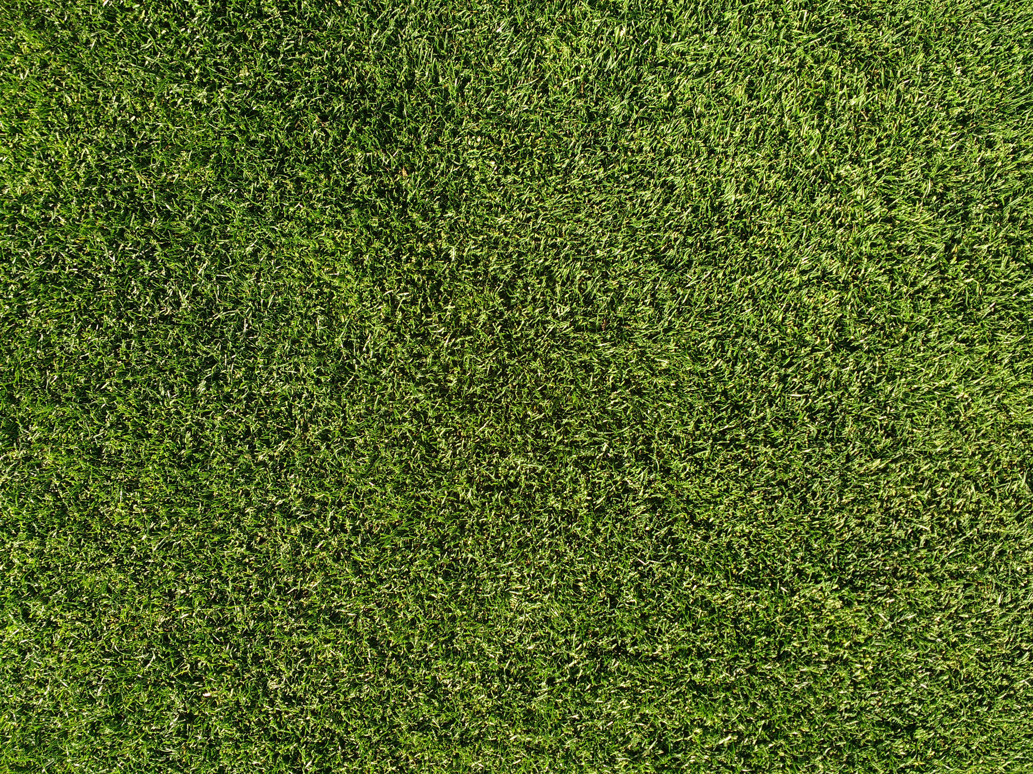 Detail Grass Texture Hd Nomer 19