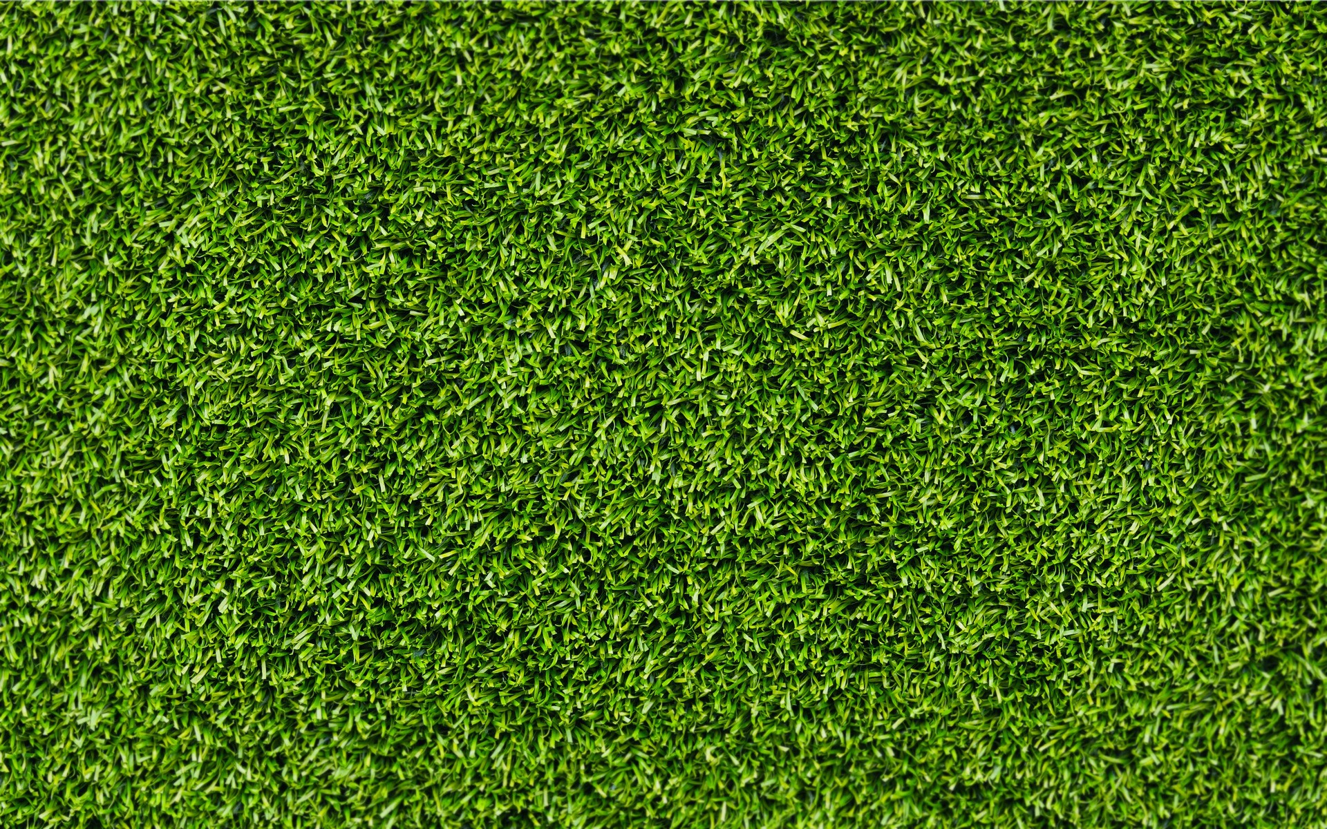 Detail Grass Texture Hd Nomer 23