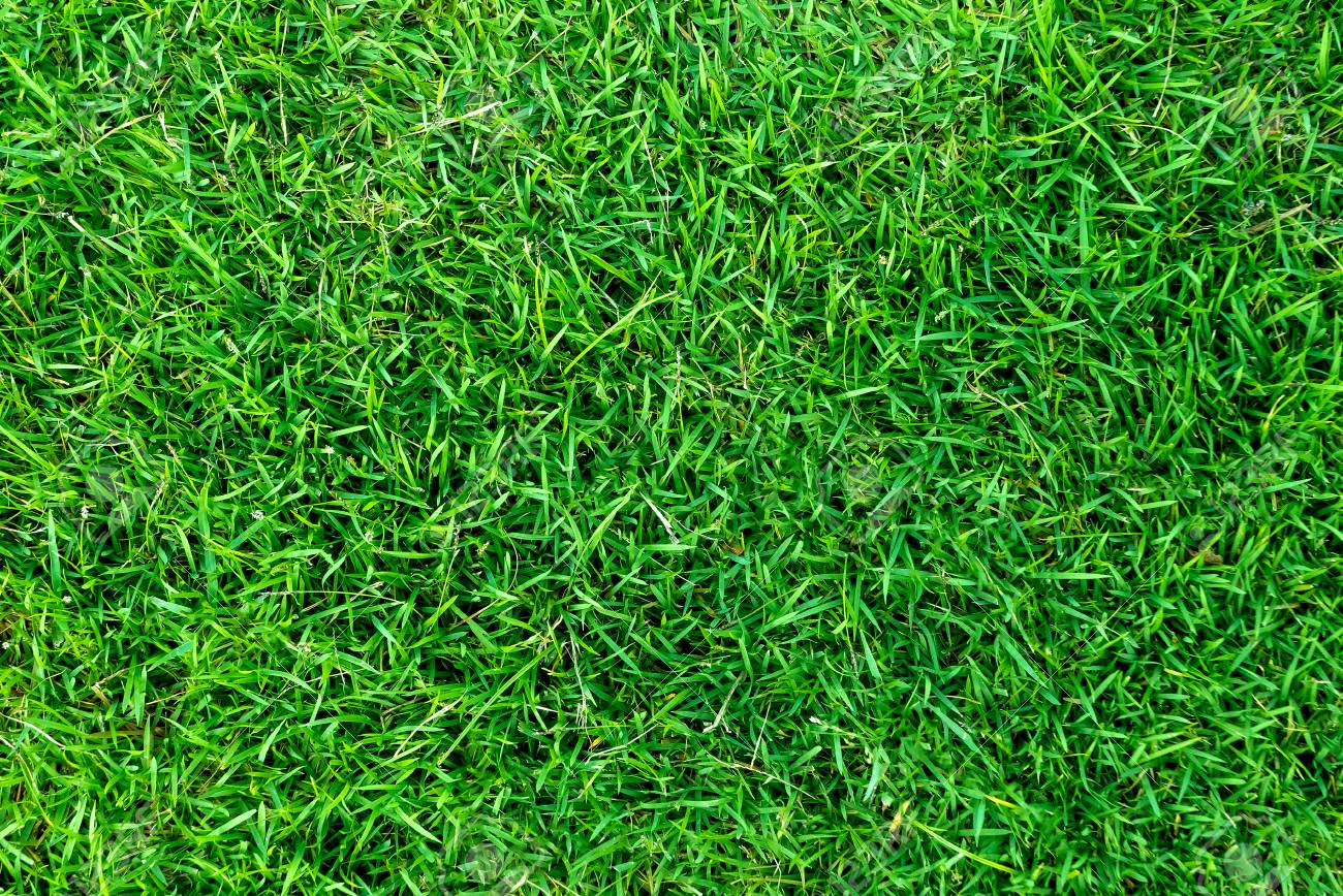 Detail Grass Texture Hd Nomer 25