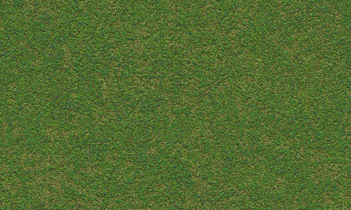 Detail Grass Texture Hd Nomer 27