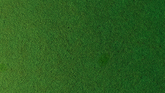 Detail Grass Texture Hd Nomer 43